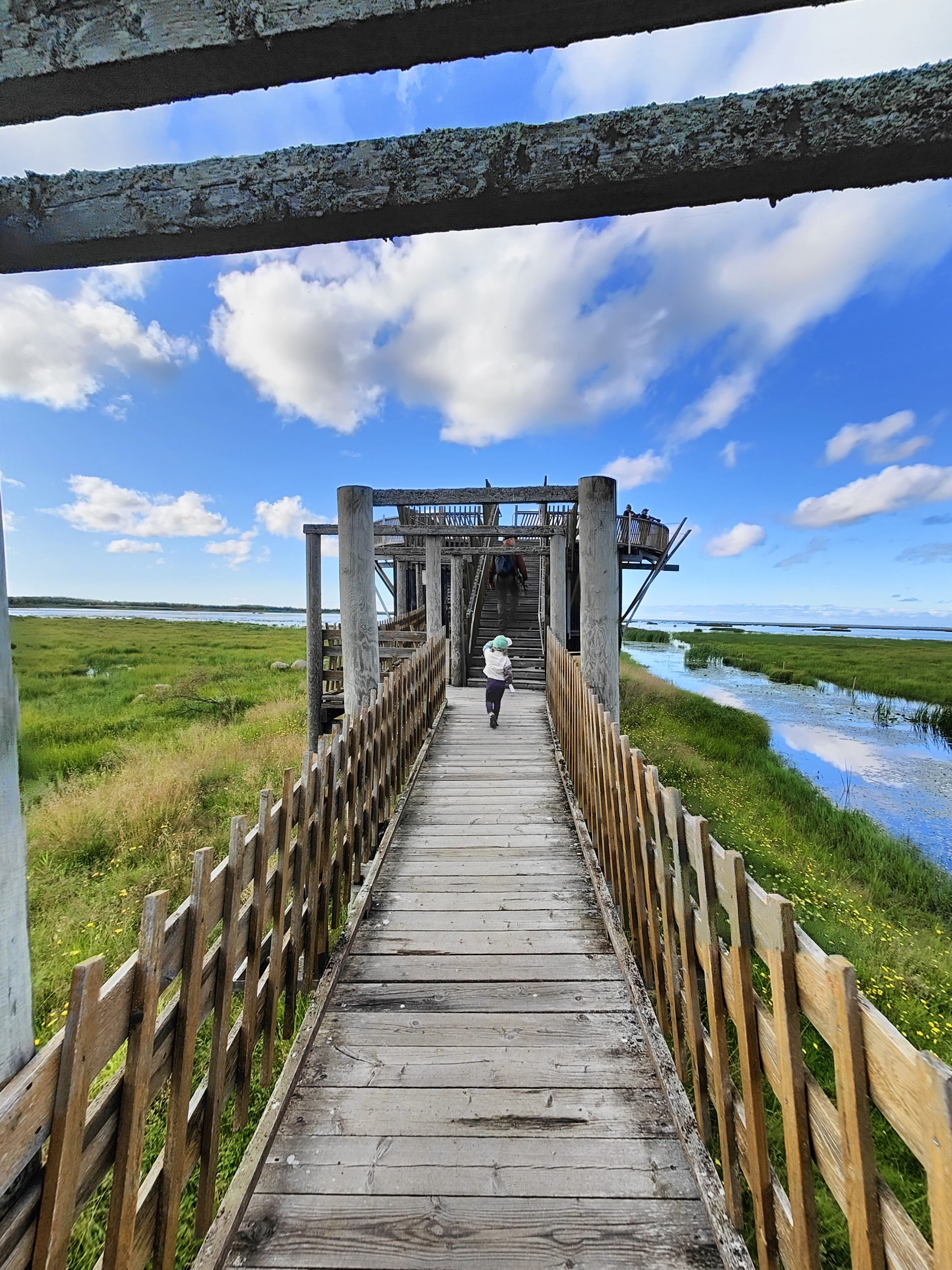 Liminganlahden luontokeskus (Liminka Bay Nature Centre)
